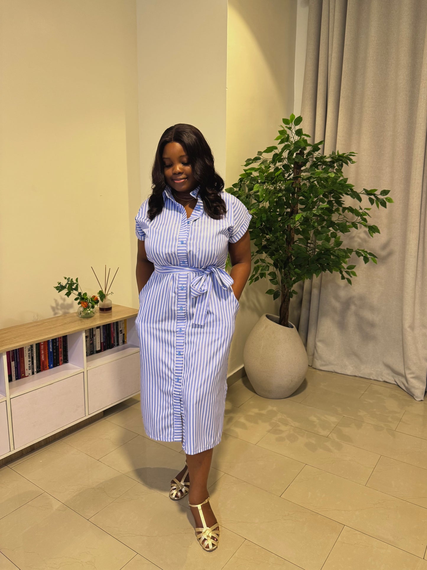 Haven Stripe Shirt Dress