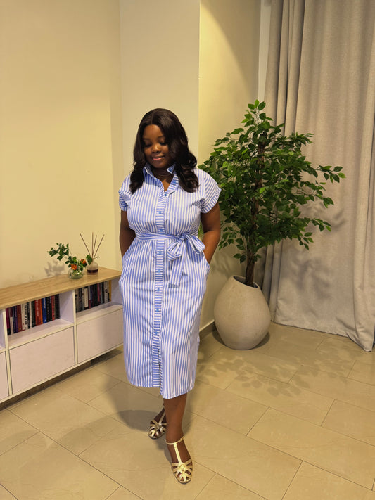 Haven Stripe Shirt Dress