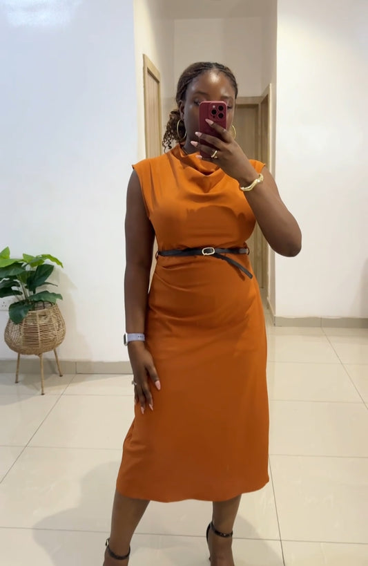 Cowl Neck Dress
